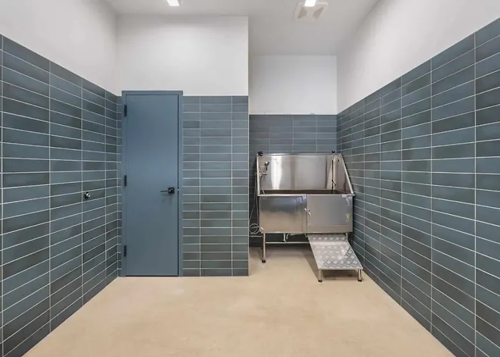Lux King Bed Free Parking Gym New Apartment Pittsburgh